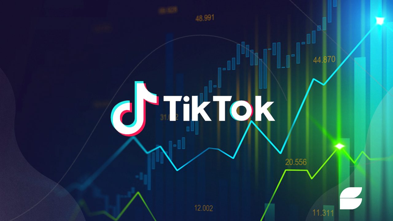 Image result for Understanding TikTok Investment: Exploring Opportunities and Risks ...